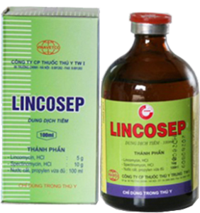 Lincosep