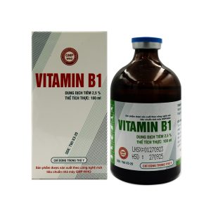 VITAMIN B1 2,5%