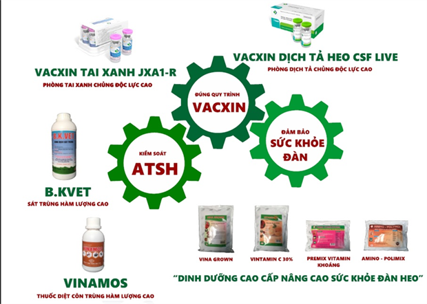 Giải pháp phòng lây nhiễm Dịch tả heo Châu Phi