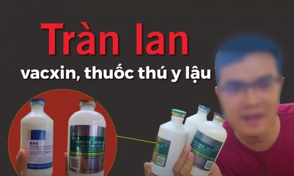 Tràn lan vacxin, thuốc thú y lậu [Bài 1]: Tôi đi mua vacxin lậu