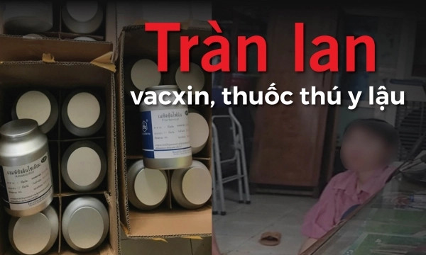 Tràn lan vacxin, thuốc thú y lậu [Bài 4]: Sử dụng kháng sinh vô tội vạ, hiểm họa cho sức khỏe con người