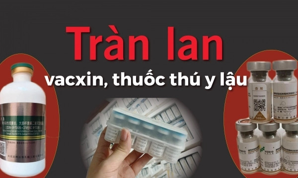 Tràn lan thuốc thú y, vacxin lậu: [Bài 3] Đi tìm ‘trùm’ buôn vacxin, kháng sinh nguyên liệu Trung Quốc