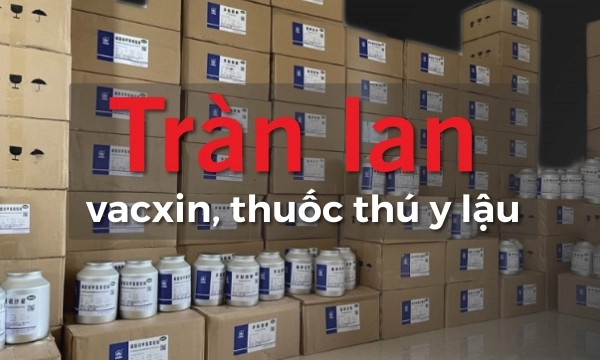 Tràn lan vacxin, thuốc thú y lậu: [Bài 5] Shopee – ‘thiên đường’ mua bán vacxin thú y không phép