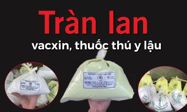 Tràn lan vacxin, thuốc thú y lậu [Bài 8]: Có tình trạng ‘dao sắc không gọt được chuôi’