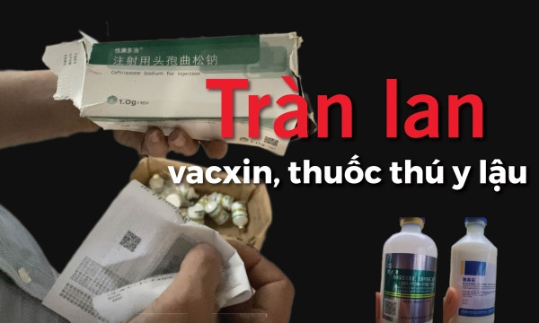 Tràn lan vacxin, thuốc thú y lậu [Bài 7]: Lời ‘gan ruột’ của các nhà quản lý chuyên ngành thú y