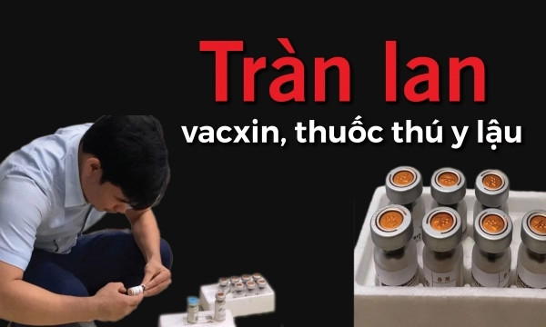 Tràn lan vacxin, thuốc thú y lậu [Bài 6]: Do hệ thống thú y bị đứt gãy