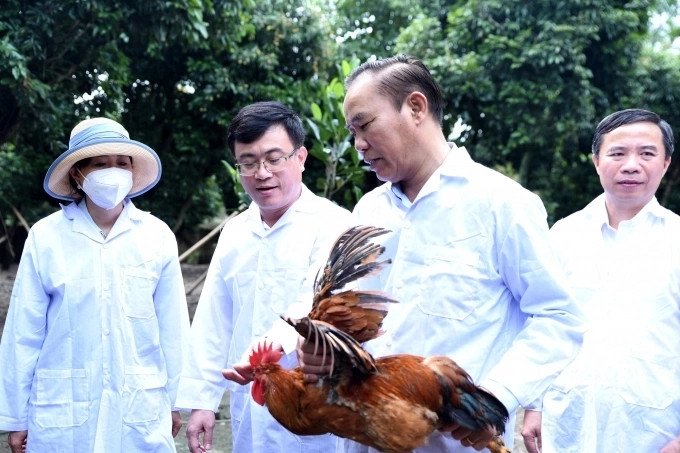 Intensify Vaccination of Livestock in the Last 6 Months of the Year