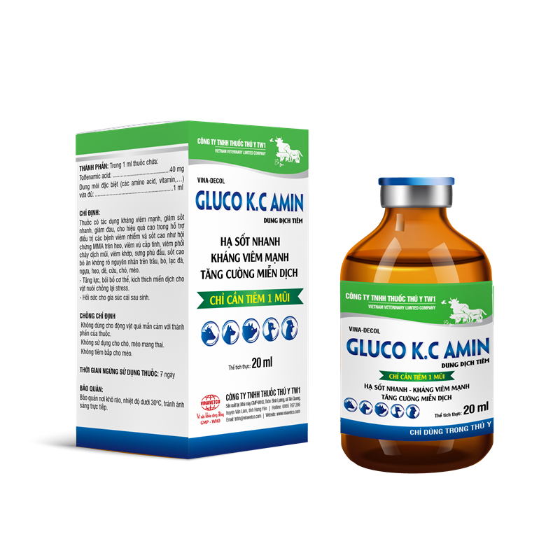 GLUCO K.C AMIN