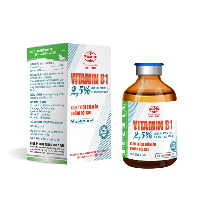 VITAMIN B1 2,5%