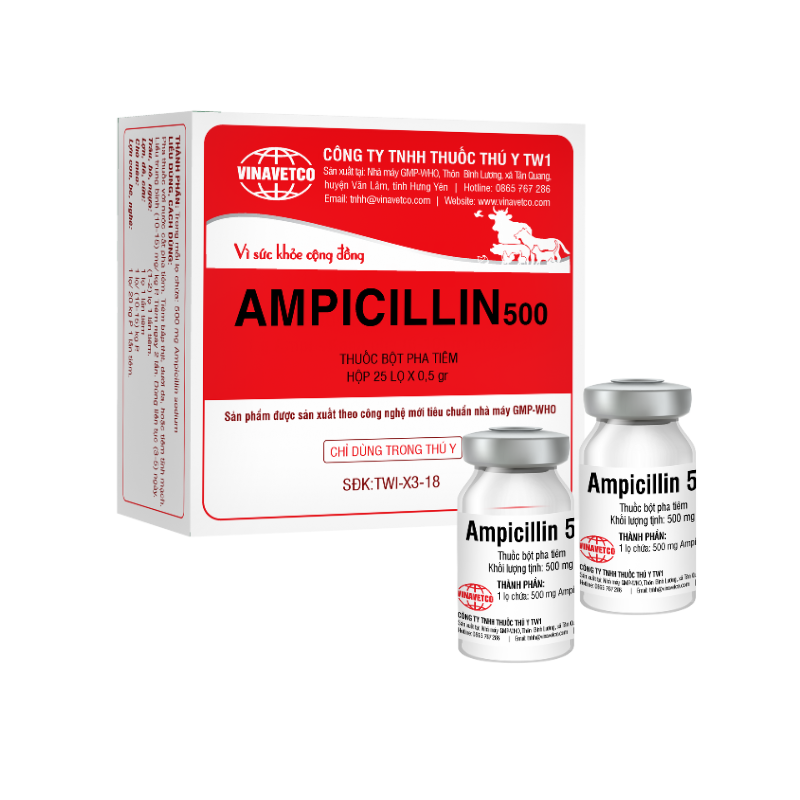 AMPICILLIN 500