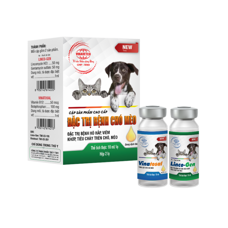 DOG-CAT ANTIBIOTICS COUPLE