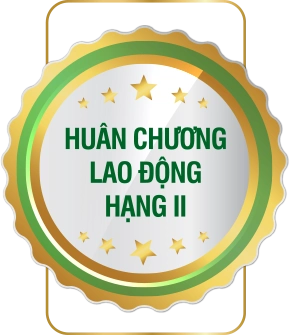 Thành tích