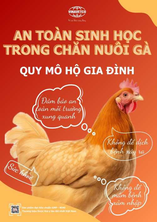 AN TOÀN SINH HỌC TRONG CHĂN NUÔI GÀ  QUY MÔ HỘ GIA ĐÌNH