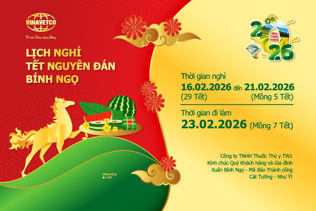 Thông báo lịch nghỉ tết nguyên đán xuân Bính Ngọ 2026